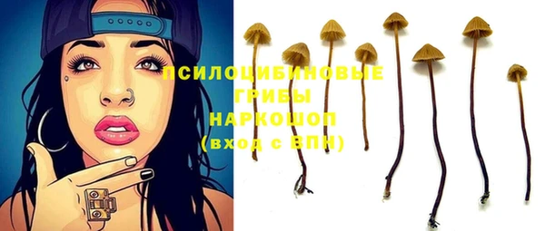 spice Аркадак
