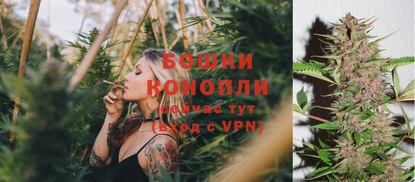 spice Аркадак