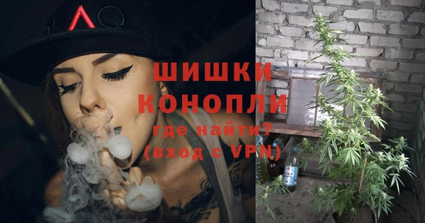 spice Аркадак
