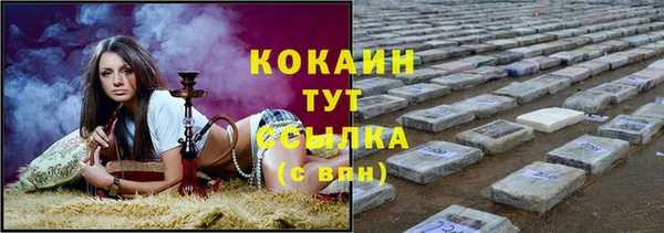 spice Аркадак